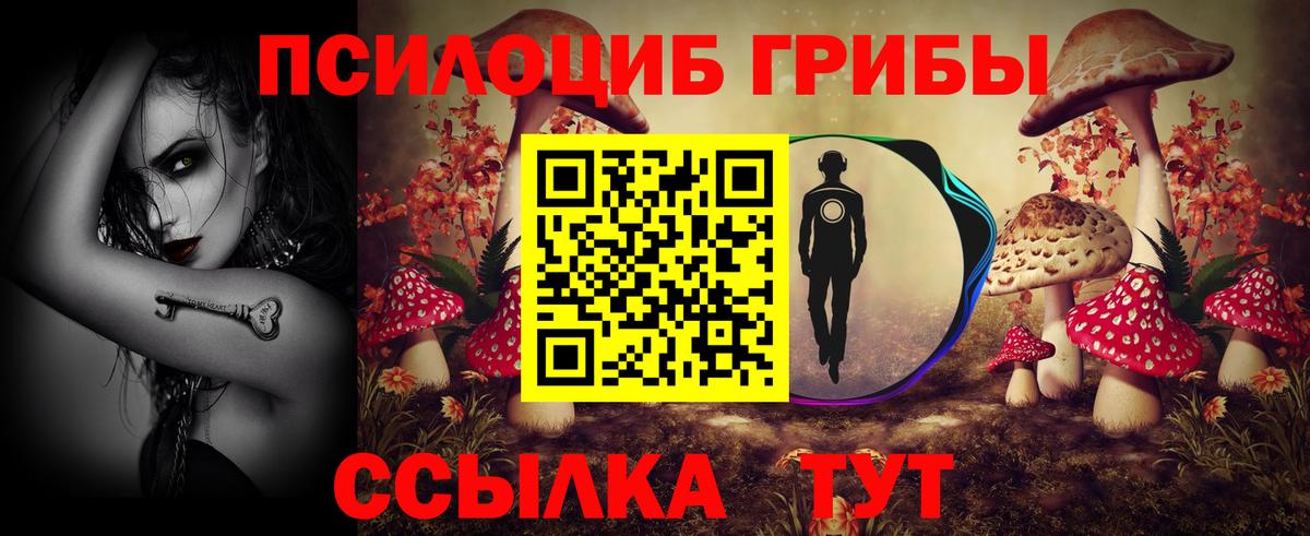 Псилоцибиновые грибы Psilocybine cubensis Воркута